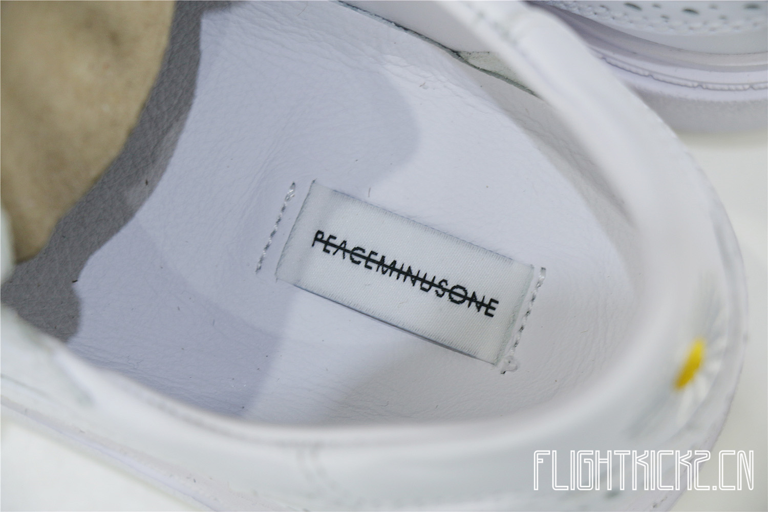 PECEMINUSONE x Nike Kwondo 1