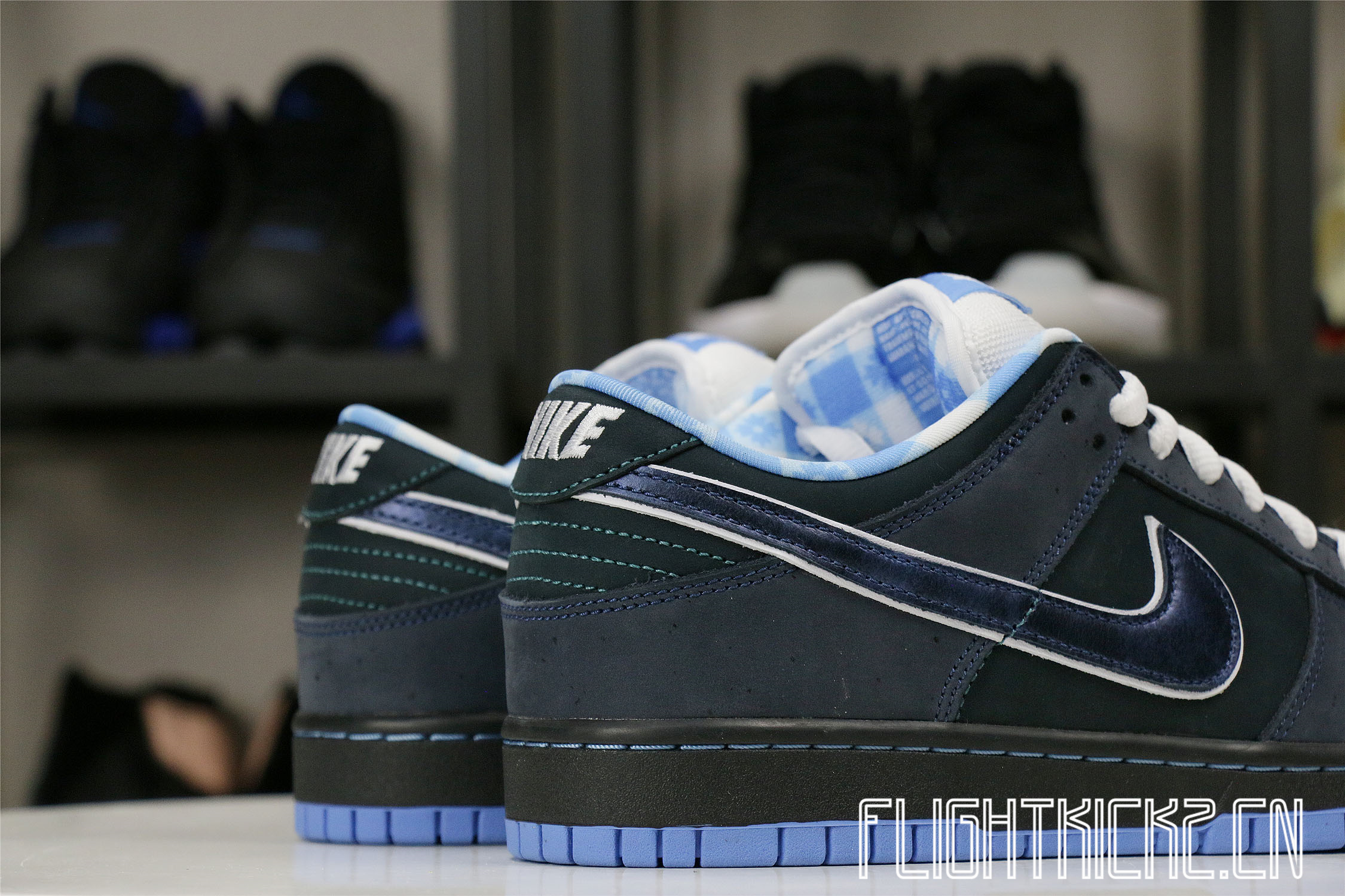 Nike Dunk SB Low Blue Lobster