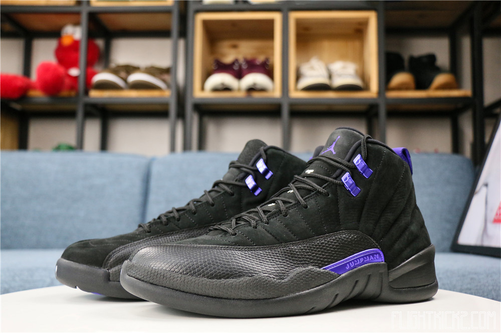 Air Jordan 12 Retro Dark Concord