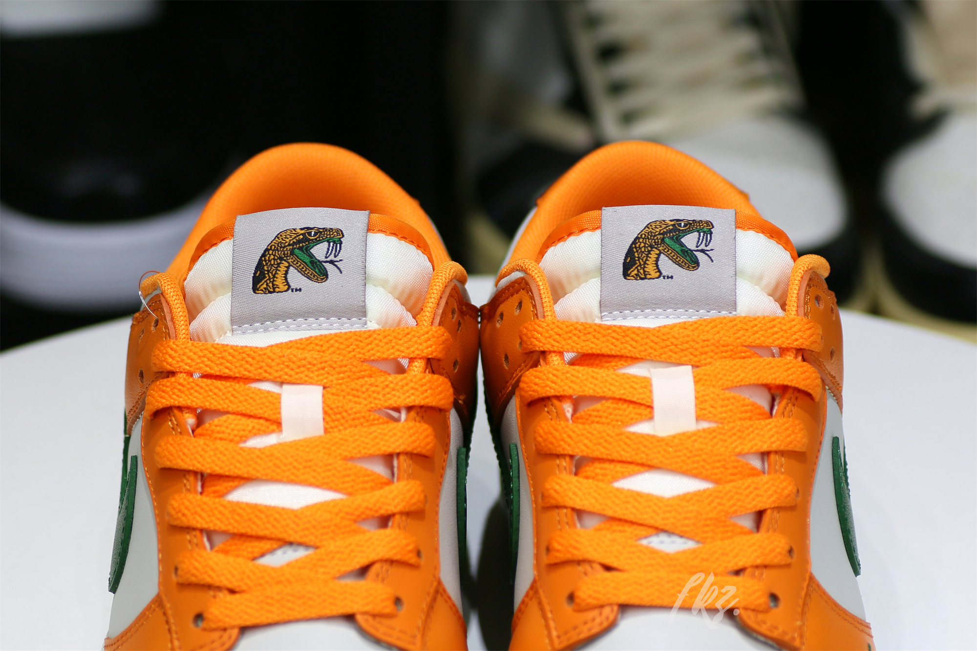 Nike Dunk Low Florida A&M University