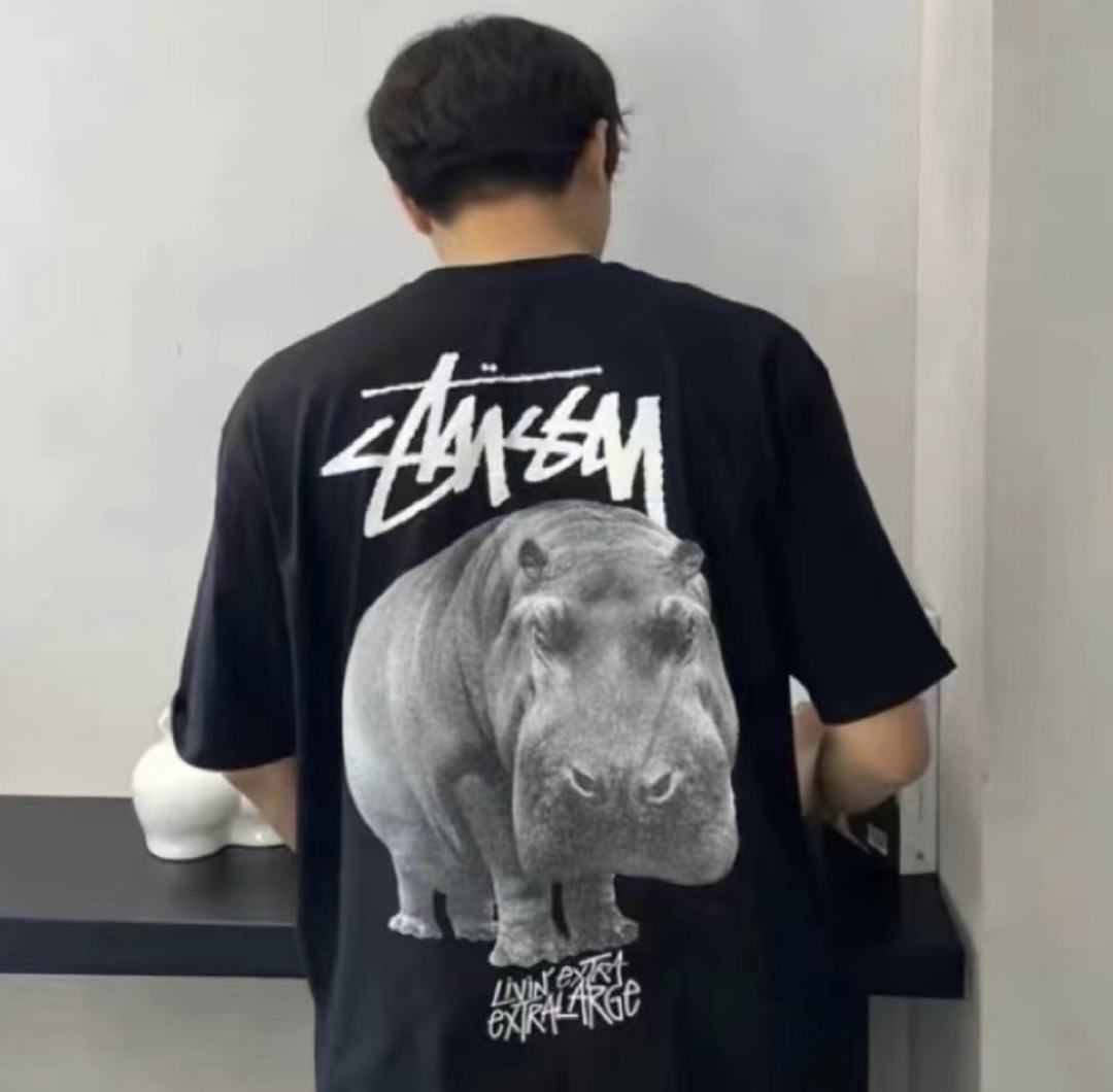 Stussy hippo print short sleeves