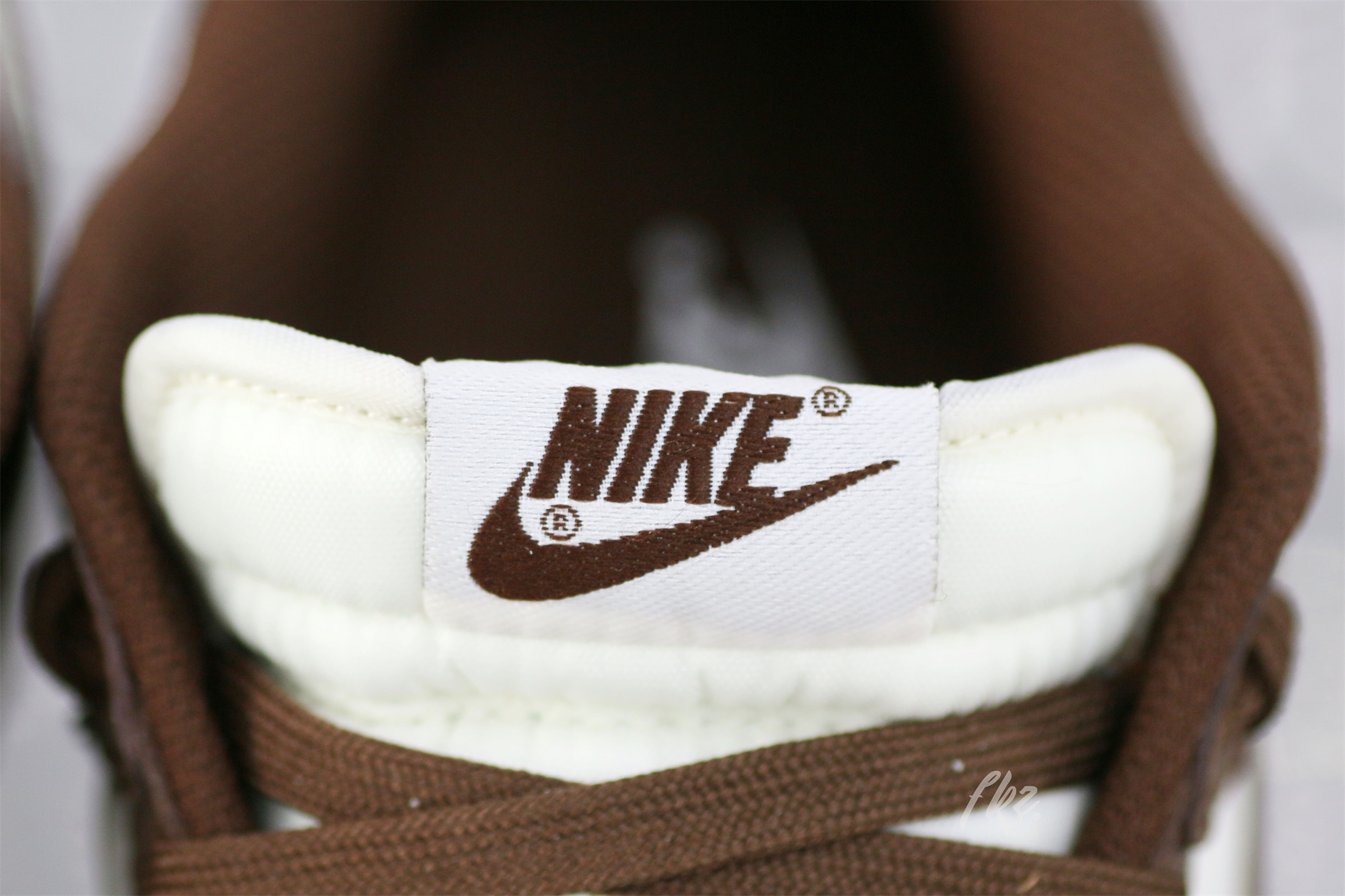 Nike Dunk Low Cocao Wow Brown Sail 2023