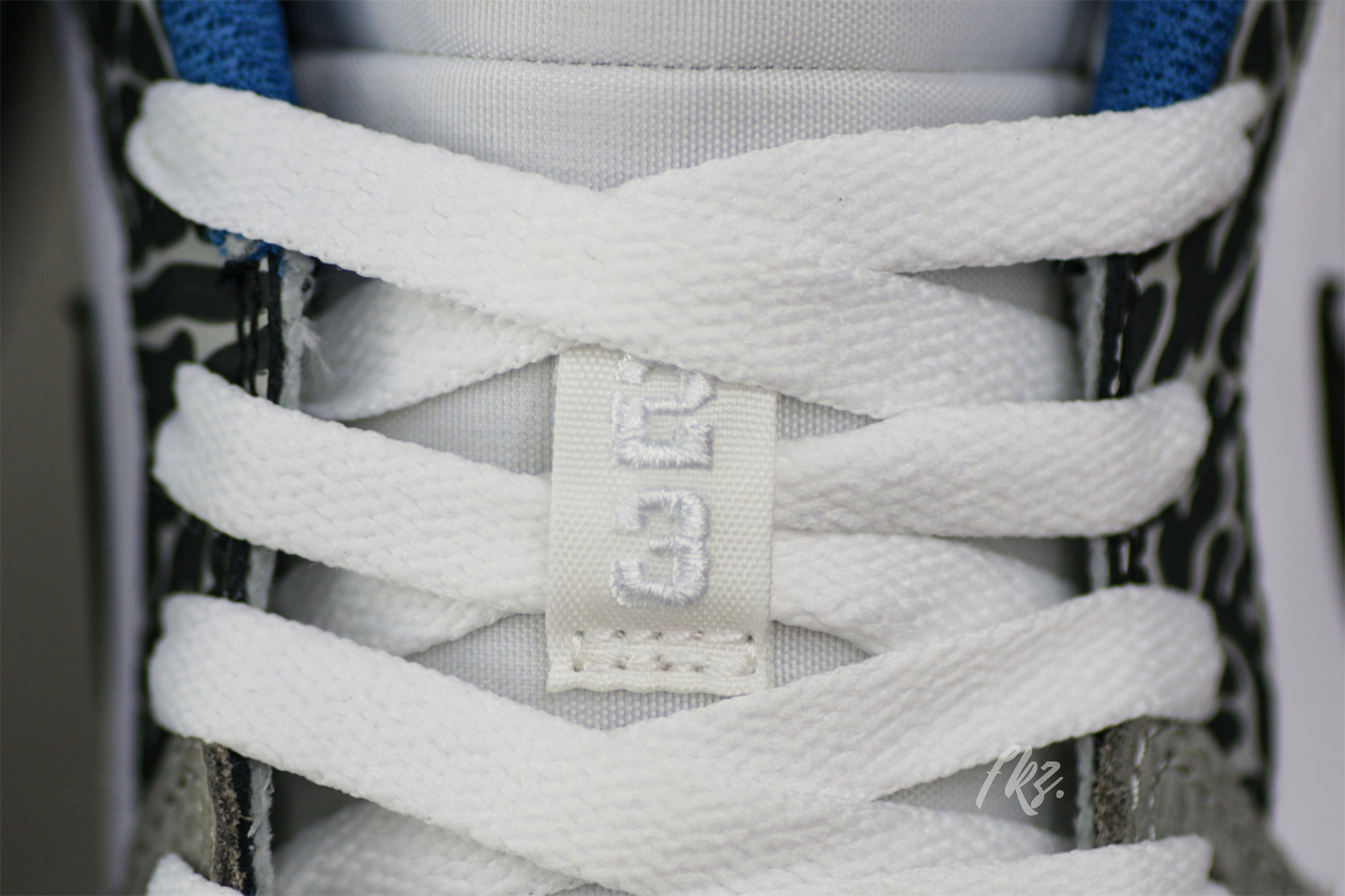 Air Jordan 1 Low SE True Blue