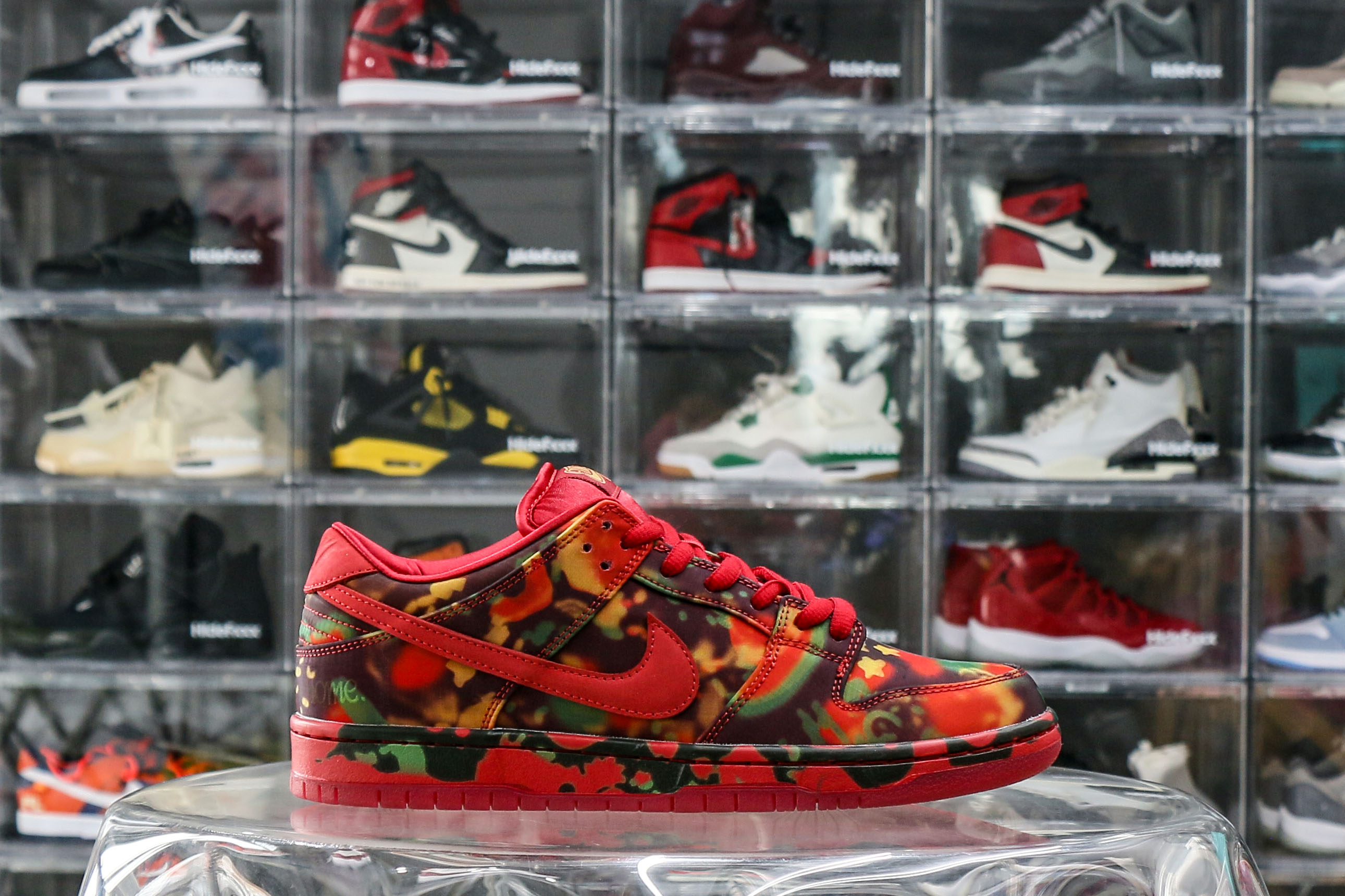 Nike SB Dunk Low The Wizard of Oz Poppy Field