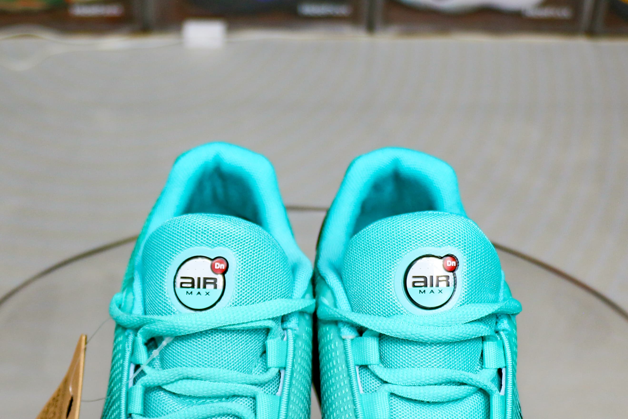 Nike Air Max Dn Premium Dusty Cactus Light Aqua Dynamic Turquoise Black