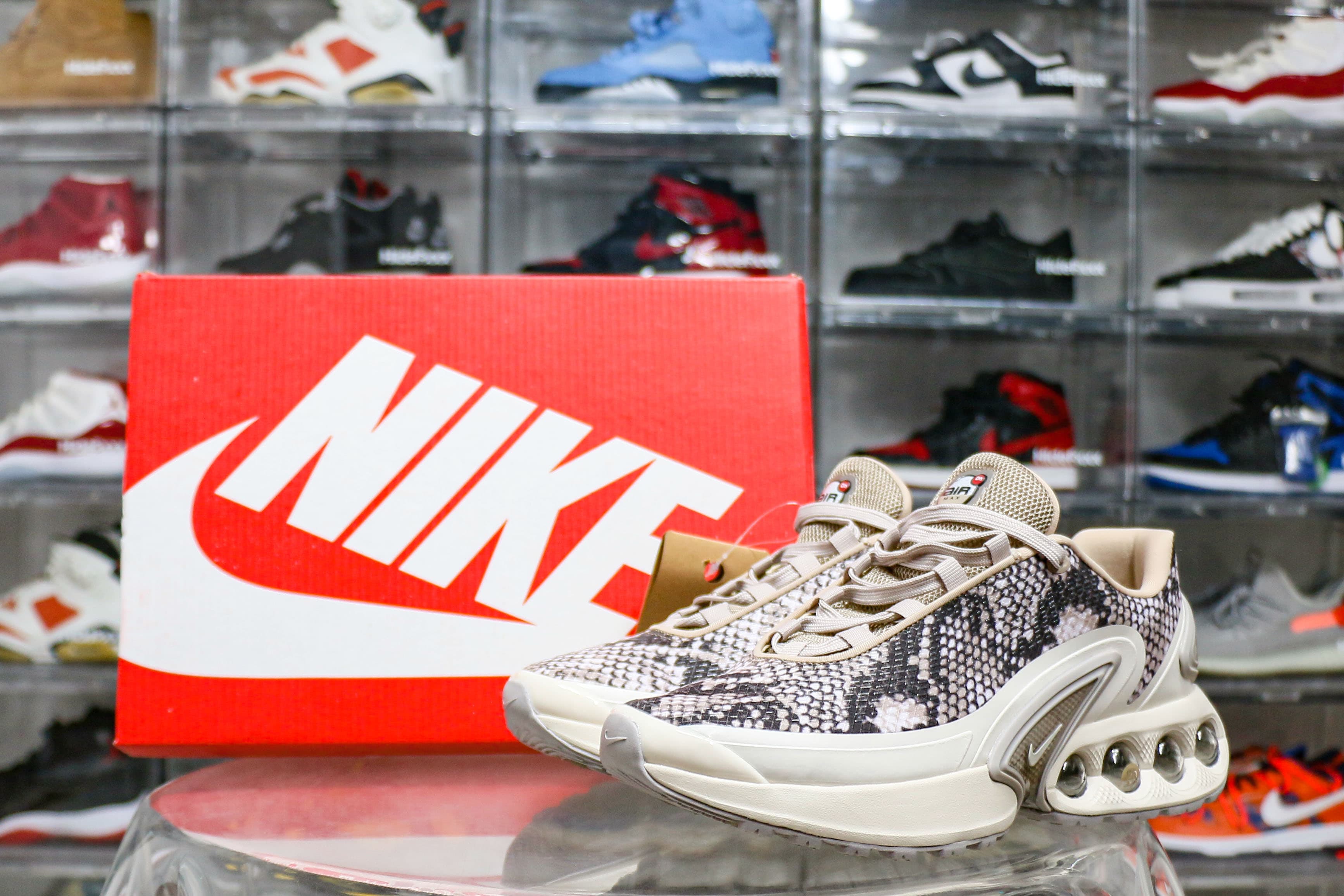 Nike Air Max Dn Snakeskin